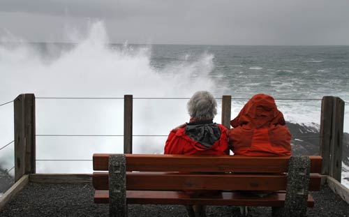 wild pacific trail safe storm watching