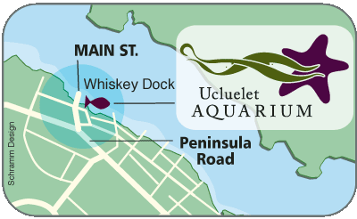 map of aquarium